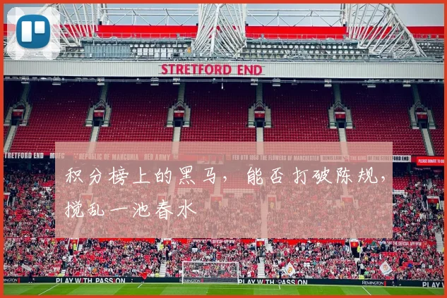 积分榜上的黑马，能否打破陈规，搅乱一池春水