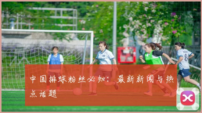 中国排球粉丝必知:最新新闻与热点话题