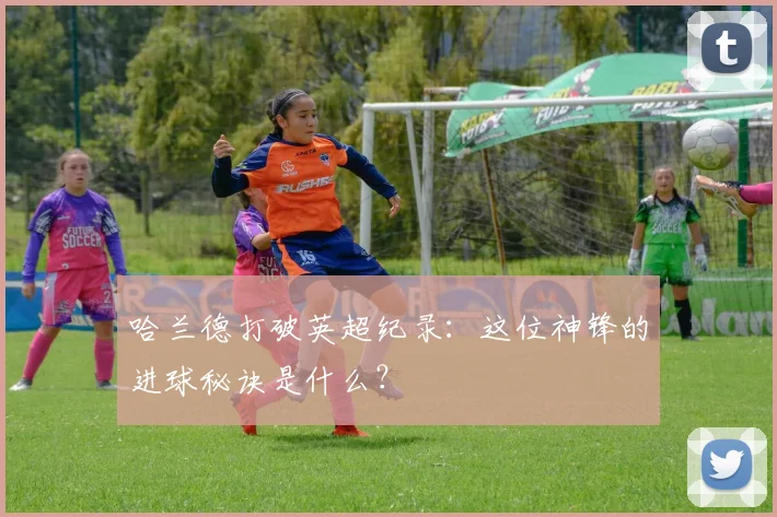 哈兰德打破英超纪录:这位神锋的进球秘诀是什么?